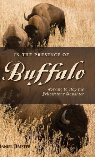 In the Presence of Buffalo: Working to Stop the Yellowstone Slaughter - Daniel Brister - Books - Graphic Arts Center Publishing Co - 9780871089786 - August 15, 2013