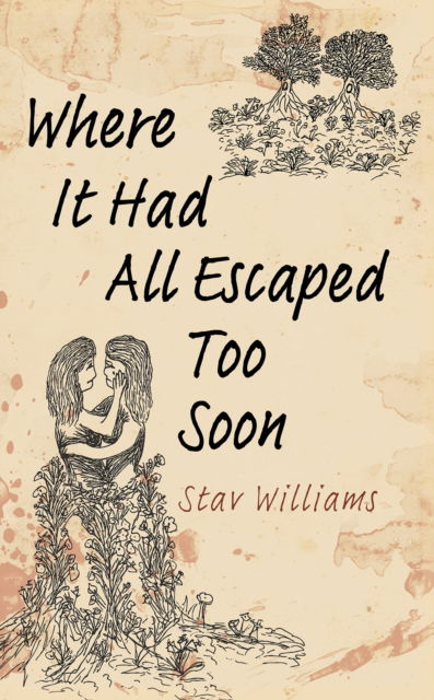 Cover for Stav Williams · Where It Had All Escaped Too Soon (Hardcover Book) (2025)