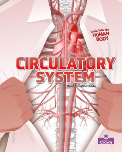 Cover for Tracy Vonder Brink · Circulatory System - Looking into the Human Body (Paperback Book) (2023)