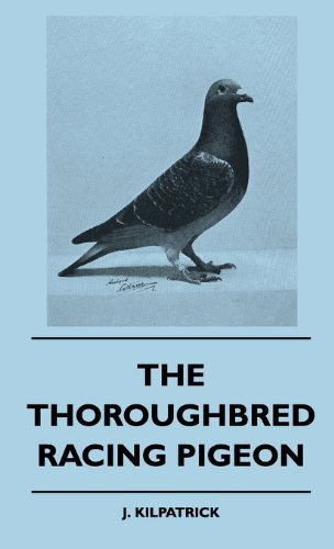 Cover for J. Kilpatrick · The Thoroughbred Racing Pigeon (Hardcover Book) (2010)