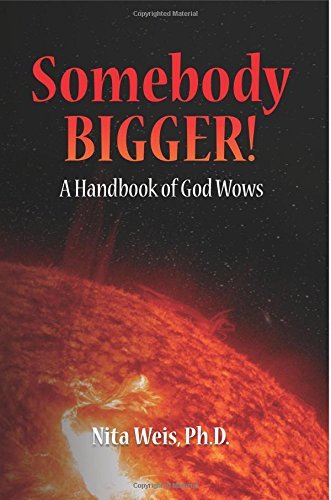 Cover for Nita Weis Ph.d. · Somebody Bigger: a Handbook of God Wows (Paperback Book) (2014)