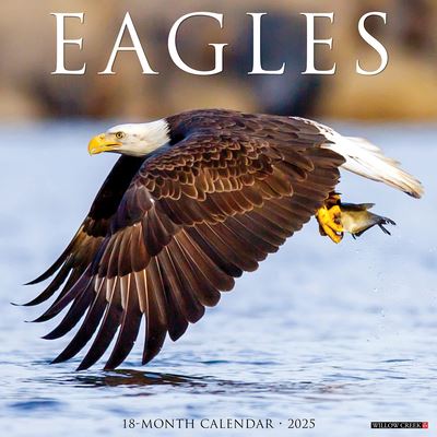 Willow Creek Press · Eagles 2025 12 X 12 Wall Calendar (Kalender) (2024)