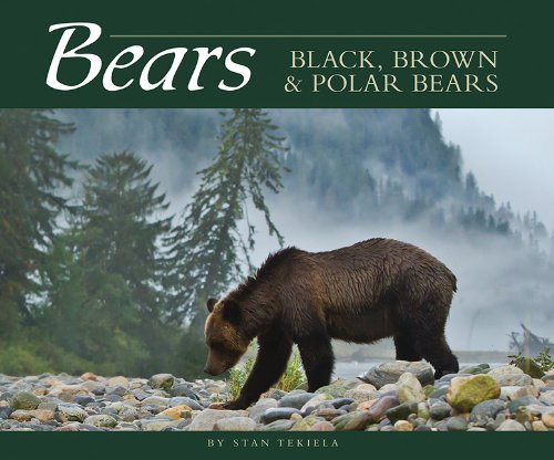 Cover for Stan Tekiela · Bears: Black, Brown &amp; Polar Bears - Wildlife Appreciation (Paperback Bog) (2013)