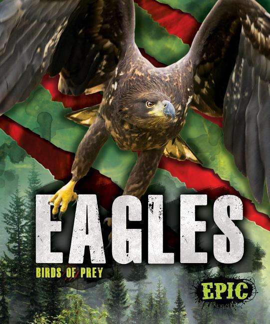 Cover for Nathan Sommer · Eagles - Birds of Prey (Hardcover Book) (2019)