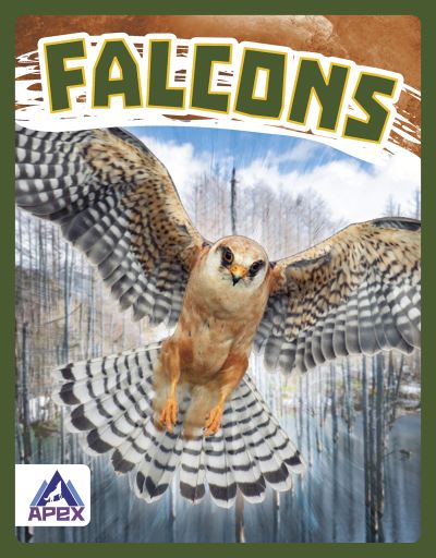 Cover for Connor Stratton · Falcons - Birds of Prey (Paperback Book) (2022)