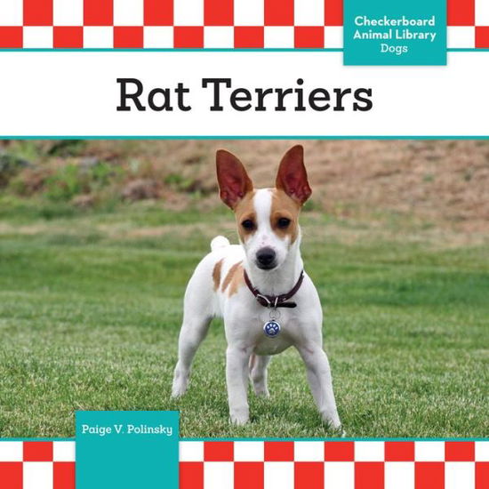 Cover for Paige V Polinsky · Rat Terriers (Hardcover Book) (2016)