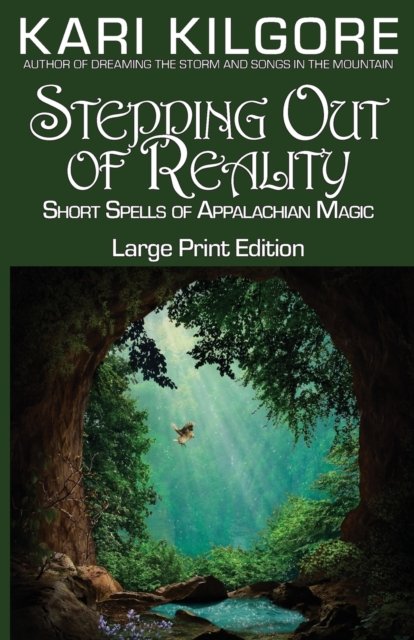 Cover for Kari Kilgore · Stepping Out of Reality (Paperback Bog) (2021)