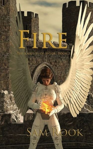 Cover for Sam Rook · Fire (Paperback Book) (2017)