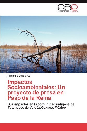 Cover for Armando De La Cruz · Impactos Socioambientales: Un Proyecto De Presa en Paso De La Reina: Sus Impactos en La Comunidad Indígena De Tataltepec De Valdéz,oaxaca, México (Taschenbuch) [Spanish edition] (2012)