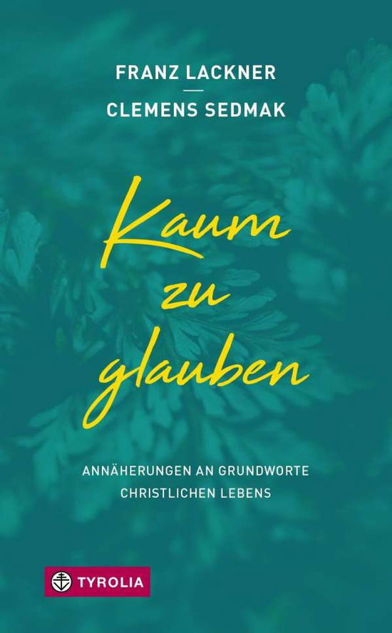 Cover for Lackner · Lackner:kaum Zu Glauben (Book)