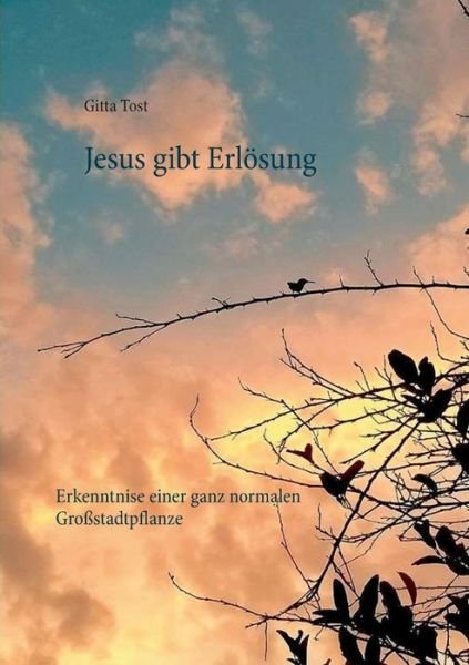 Cover for Tost · Jesus gibt Erlösung (Buch) (2019)