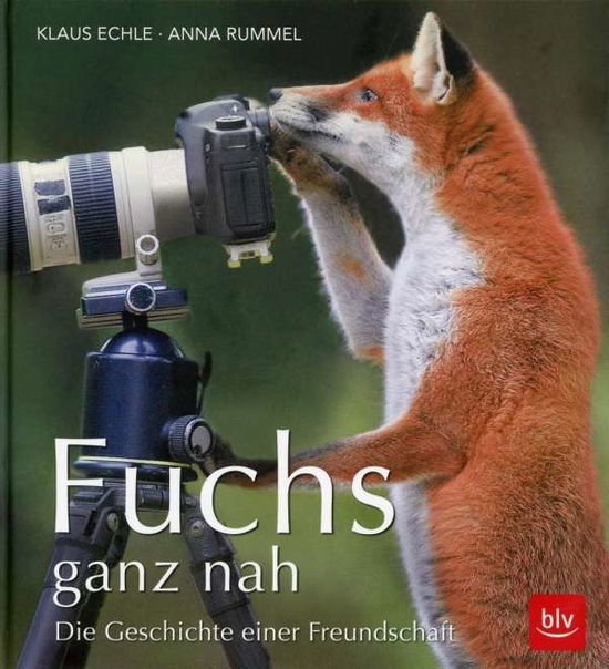 Cover for Rummel · Fuchs ganz nah (Book)