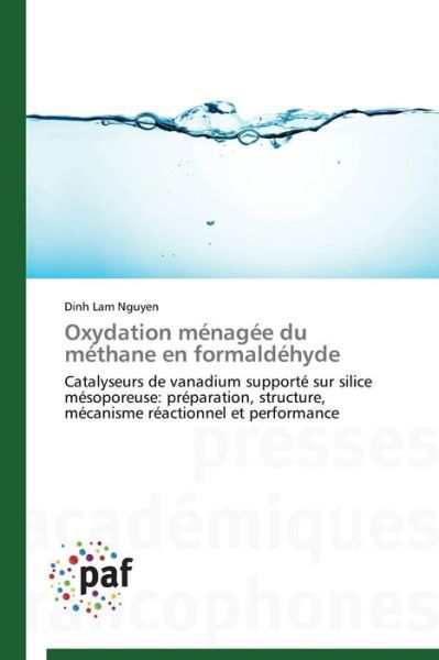 Cover for Dinh Lam Nguyen · Oxydation Ménagée Du Méthane en Formaldéhyde: Catalyseurs De Vanadium Supporté Sur Silice Mésoporeuse: Préparation, Structure, Mécanisme Réactionnel et Performance (Taschenbuch) [French edition] (2018)