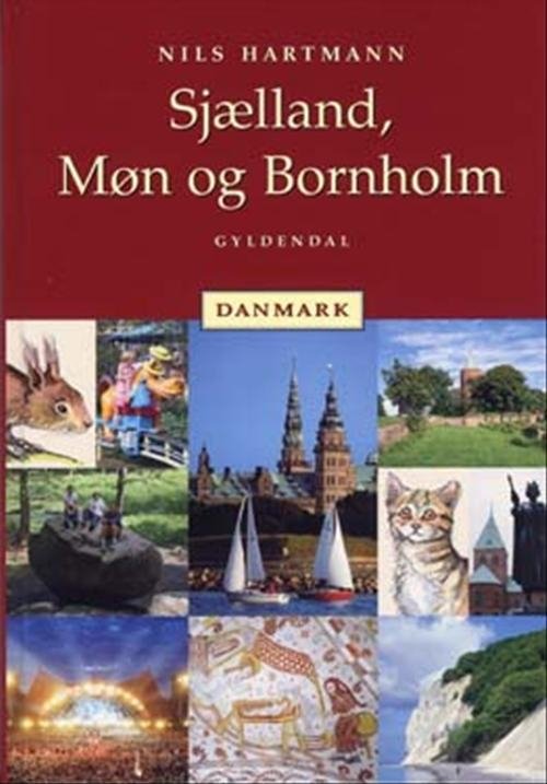 Cover for Nils Hartmann · Børnenes Store Danmarksbog: Børnenes Store Danmarksbog (Bound Book) [1º edição] (2004)
