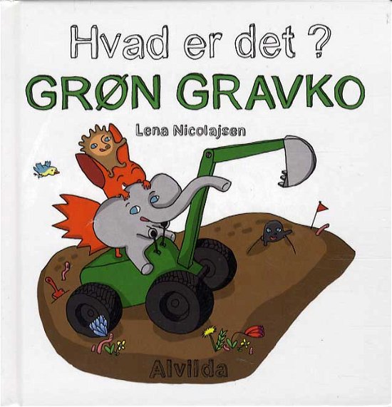 Cover for Lena Nicolajsen · Hvad er det?: Hvad er det? Grøn gravko (sæt á 3 stk. Pris pr. stk. 49,95) (Cardboard Book) [1er édition] (2015)