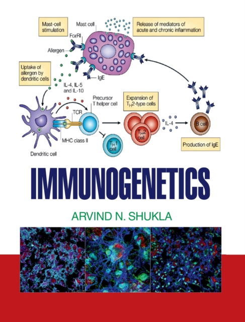 Immunogenetics - Arvind N Shukla - Livres - DISCOVERY PUBLISHING HOUSE PVT LTD - 9789350563786 - 1 avril 2015