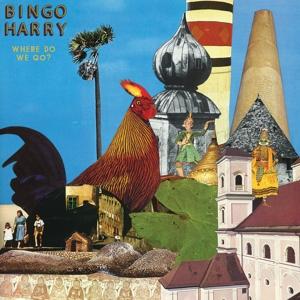 Cover for Bingo Harry · Where Do We Go? (CD) (2022)