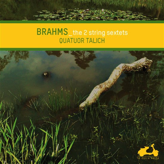 Cover for Johannes Brahms · String Sextets (CD) (2014)