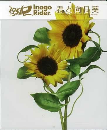 Cover for 175r · Kimi to Himawari (CD) (2007)