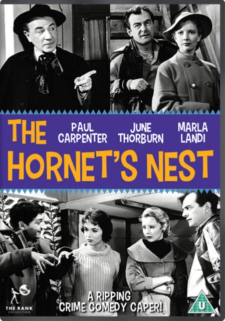 Cover for The Hornets Nest (DVD) (2017)