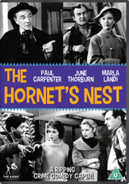 The Hornets Nest (DVD) (2017)