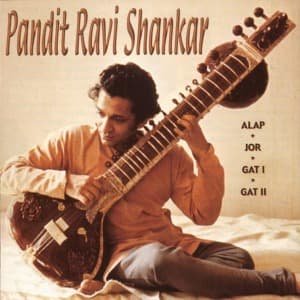 Pandit Ravi Shankar - Ravi Shankar - Musiikki - MOVIEPLAY GOLD - 8712177038787 - torstai 27. huhtikuuta 2000