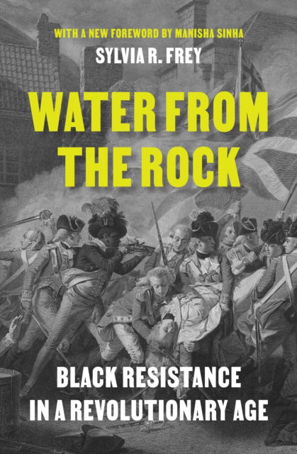 Water from the Rock: Black Resistance in a Revolutionary Age - Sylvia R. Frey - Bøger - Princeton University Press - 9780691237787 - 15. april 2025