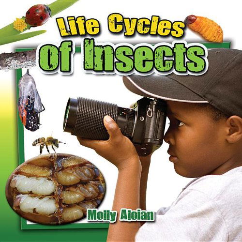 Cover for Molly Aloian · Life Cycles of Insects (Insects Close-up) (Hardcover Book) (2013)