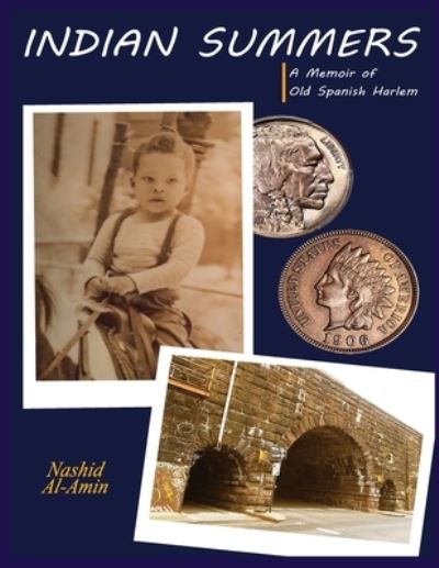 Cover for Nashid Al - Amin · Indian Summers (Book) (2022)