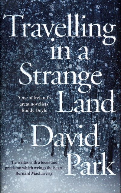 Cover for David Park · Travelling in a Strange Land: Winner of the Kerry Group Irish Novel of the Year (Hardcover Book) (2018)