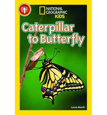 Cover for Laura Marsh · National Geographic Kids Readers: Caterpillar to Butterfly - National Geographic Kids Readers: Level 1 (Paperback Book) (2013)