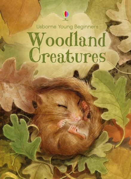 Woodland Creatures - Young Beginners - Emily Bone - Kirjat - Usborne Publishing Ltd - 9781474921787 - 2017