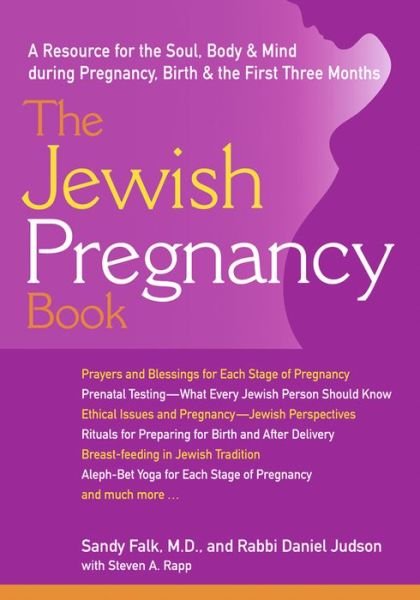 Cover for Steven Rapp · Jewish Pregnancy Book: A Resource for the Soul Body &amp; Mind During Pregnancy Birth &amp; the First Three Months (Paperback Book) (2003)