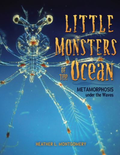 Cover for Heather L. Montgomery · Little Monsters of the Ocean (Book) (2023)