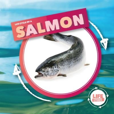 Cover for Kirsty Holmes · Life Cycle Of A Salmon - Life Cycle of A... (Innbunden bok) (2021)