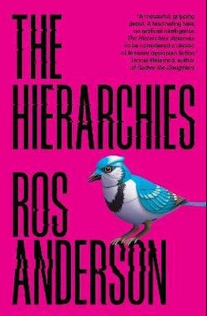 Cover for Ros Anderson · The Hierarchies (Paperback Bog) (2021)