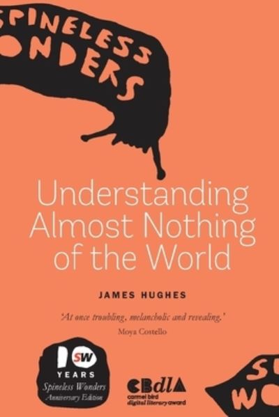 Cover for James Hughes · Understanding Almost Nothing of the World (Paperback Book) (2021)