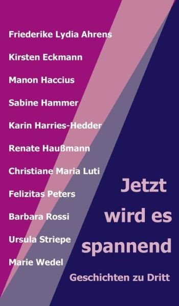 Cover for Renate Haußmann (Hg) · Jetzt wird es spannend (Hardcover Book) (2020)