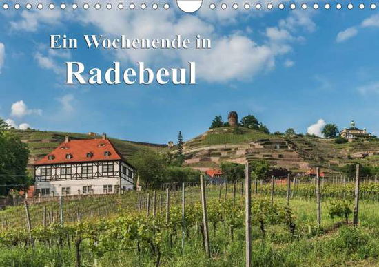 Cover for Kirsch · Ein Wochenende in Radebeul / CH- (Book)