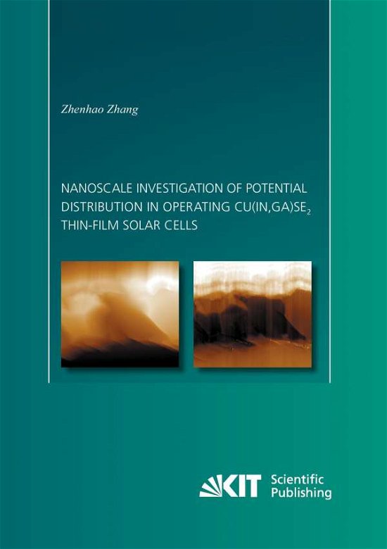 Cover for Zhang · Nanoscale investigation of potent (Book) (2014)