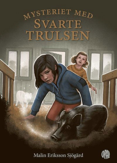 Elisabeth Widmark · Mysteriet med Svarte Trulsen (Gebundesens Buch) (2024)