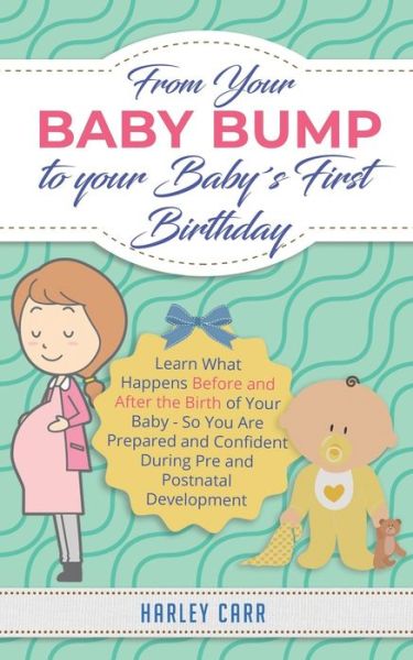 Cover for Harley Carr · From Your Baby Bump To Your Babys First Birthday (Paperback Book) (2020)