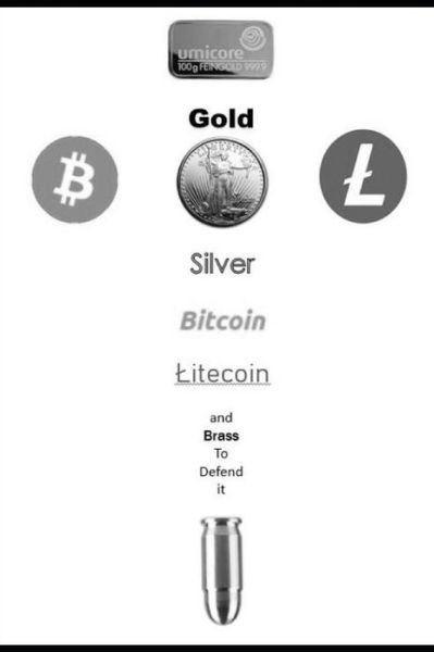 Cover for Silver Ltc · Gold, Silver, Bitcoin, Litecoin and Brass to defend it. (Paperback Bog) (2020)