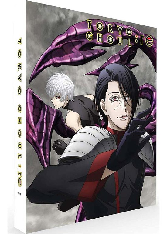 Anime · Tokyo Ghoul - re Part 2 Collectors Edition (Blu-ray) [Coll. edition] (2020)