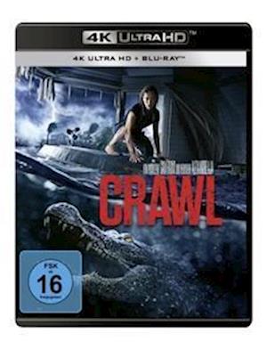 Cover for Kaya Scodelario,barry Pepper,ross Anderson · Crawl (4K Ultra HD) (2023)