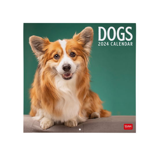Cover for Legami · Wall Calendars - 2024 Wall Calendar - Dogs - 30x29 - Dogs (Paperback Bog) (2023)