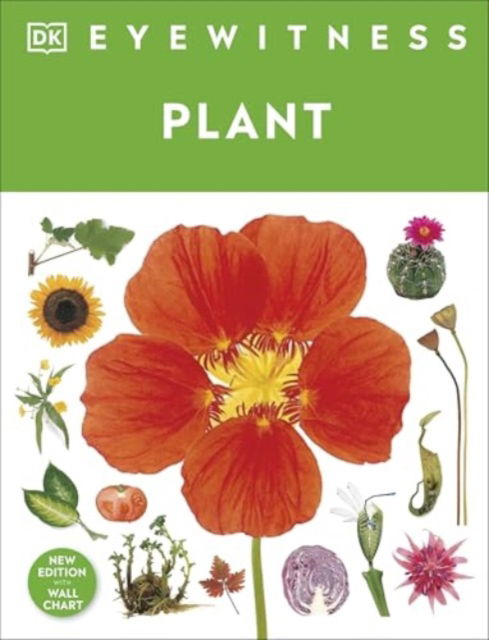 Cover for Dk · Eyewitness Plant - DK Eyewitness (Gebundenes Buch) (2025)