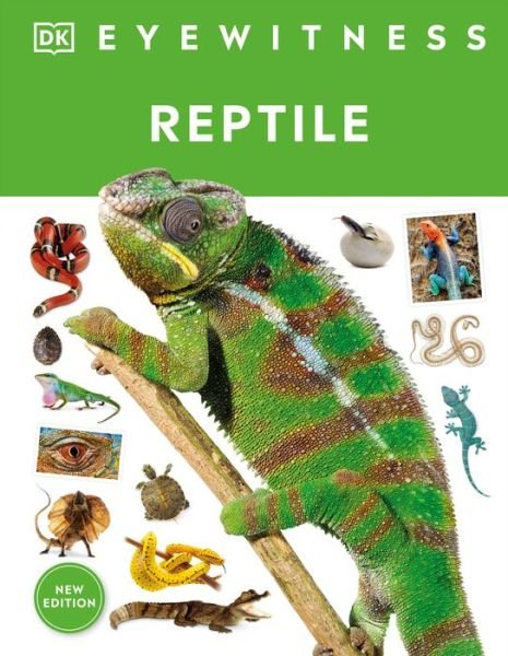 Cover for Dk · Eyewitness Reptile (Buch) (2023)