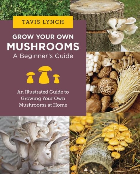 Cover for Tavis Lynch · Grow Your Own Mushrooms: A Beginner's Guide: An Illustrated Guide to Cultivating Your Own Mushrooms at Home (Paperback Book) (2024)