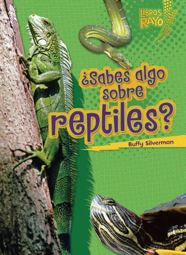 Cover for Buffy Silverman · ..sabes Algo Sobre Reptiles?/ Do You Know About Reptiles? (Libros Rayo - Conoce Los Grupos De Animales /lightning Bolt Books T - Meet the Animal Groups)) (Paperback Book) [Spanish edition] (2012)